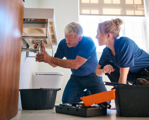 Best Emergency Plumbing Services in Long Prairie, MN